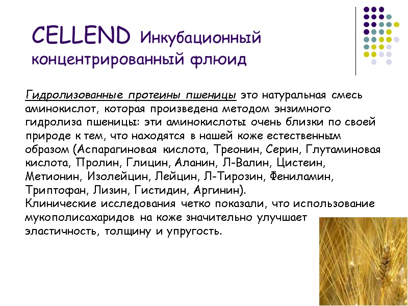 Гидролизованные протеины пшеницы это натуральная смесь аминокислот, которая произведена методом энзимного гидролиза пшеницы: эти